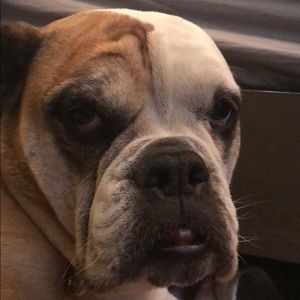 Meet your Posher, Tejal